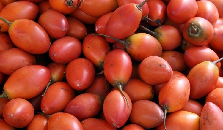 Fruta que parece tomate
